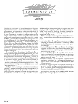 Manual_de_Anatomia_Humana_Para_Colorir.pdf