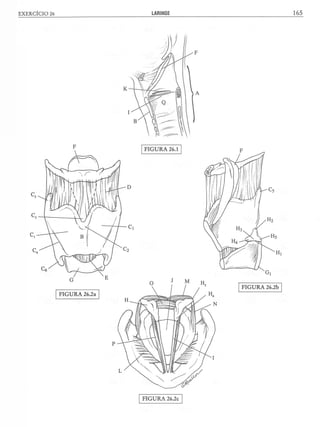 Manual_de_Anatomia_Humana_Para_Colorir.pdf