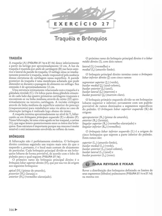 Manual_de_Anatomia_Humana_Para_Colorir.pdf