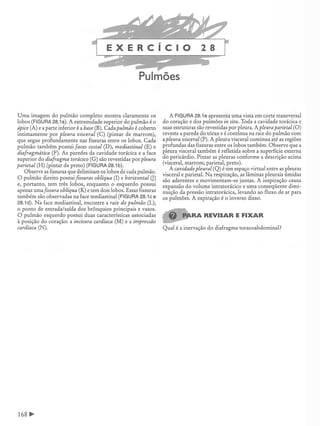 Manual_de_Anatomia_Humana_Para_Colorir.pdf