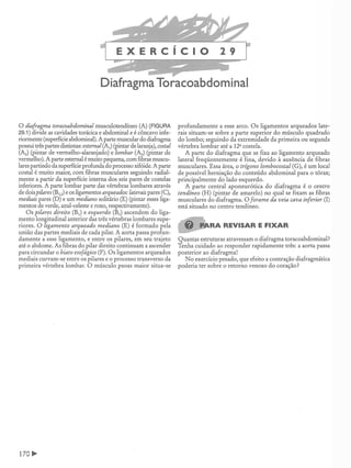 Manual_de_Anatomia_Humana_Para_Colorir.pdf