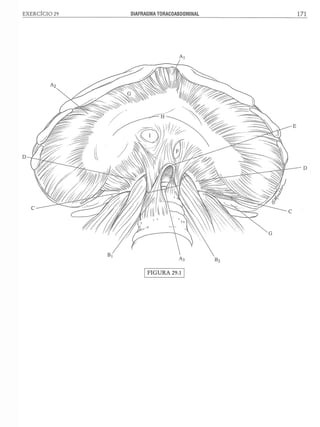 Manual_de_Anatomia_Humana_Para_Colorir.pdf