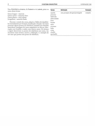 Manual_de_Anatomia_Humana_Para_Colorir.pdf