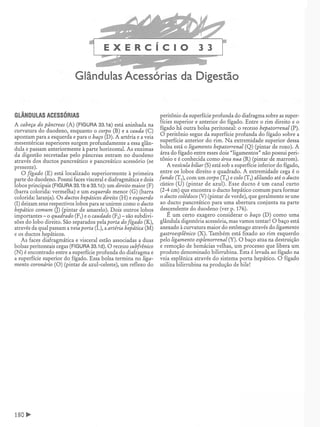 Manual_de_Anatomia_Humana_Para_Colorir.pdf