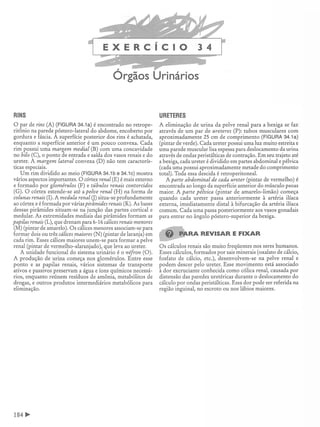 Manual_de_Anatomia_Humana_Para_Colorir.pdf