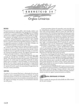 Manual_de_Anatomia_Humana_Para_Colorir.pdf