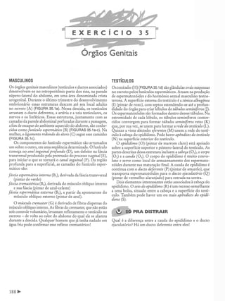 Manual_de_Anatomia_Humana_Para_Colorir.pdf