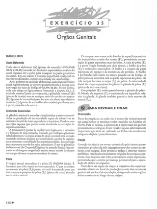 Manual_de_Anatomia_Humana_Para_Colorir.pdf