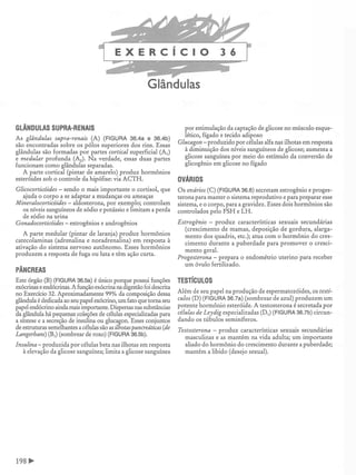 Manual_de_Anatomia_Humana_Para_Colorir.pdf