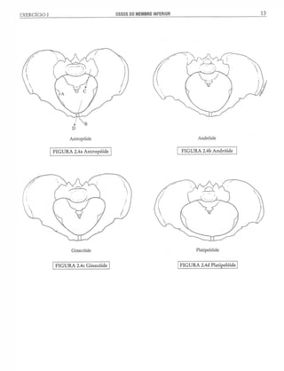 Manual_de_Anatomia_Humana_Para_Colorir.pdf
