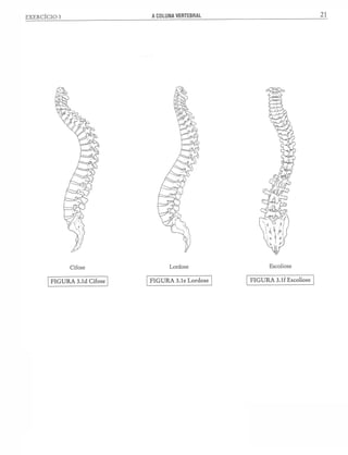 Manual_de_Anatomia_Humana_Para_Colorir.pdf