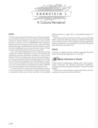 Manual_de_Anatomia_Humana_Para_Colorir.pdf