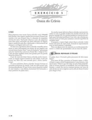 Manual_de_Anatomia_Humana_Para_Colorir.pdf