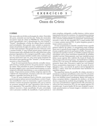 Manual_de_Anatomia_Humana_Para_Colorir.pdf