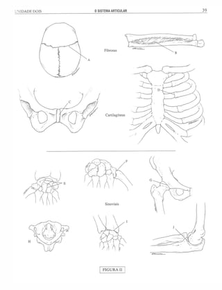 Manual_de_Anatomia_Humana_Para_Colorir.pdf