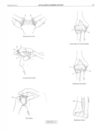Manual_de_Anatomia_Humana_Para_Colorir.pdf