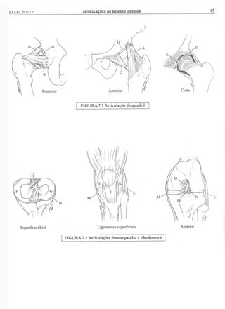 Manual_de_Anatomia_Humana_Para_Colorir.pdf