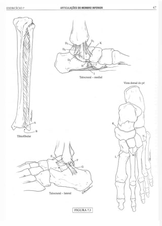 Manual_de_Anatomia_Humana_Para_Colorir.pdf