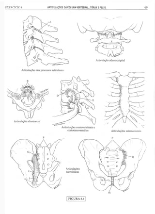 Manual_de_Anatomia_Humana_Para_Colorir.pdf