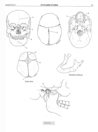 Manual_de_Anatomia_Humana_Para_Colorir.pdf