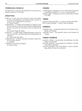 Manual_de_Anatomia_Humana_Para_Colorir.pdf