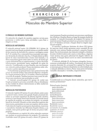 Manual_de_Anatomia_Humana_Para_Colorir.pdf