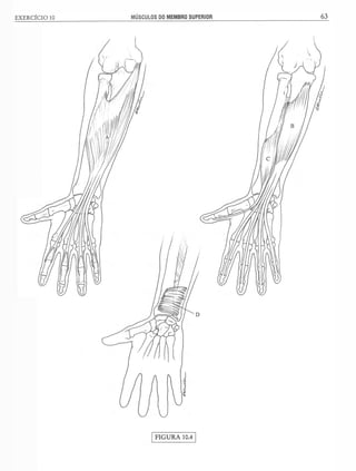 Manual_de_Anatomia_Humana_Para_Colorir.pdf