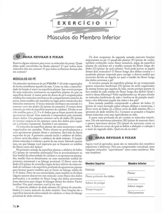 Manual_de_Anatomia_Humana_Para_Colorir.pdf