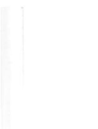 Manual_de_Anatomia_Humana_Para_Colorir.pdf