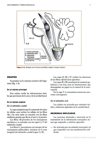 Manual de anestesia