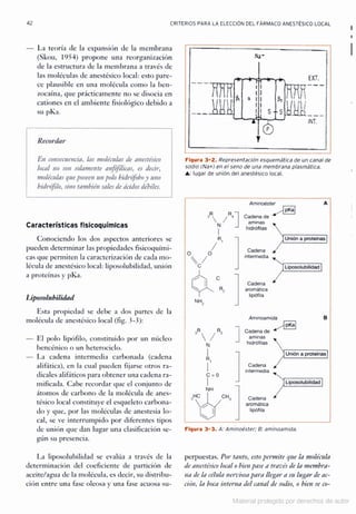 Manual de anestesia