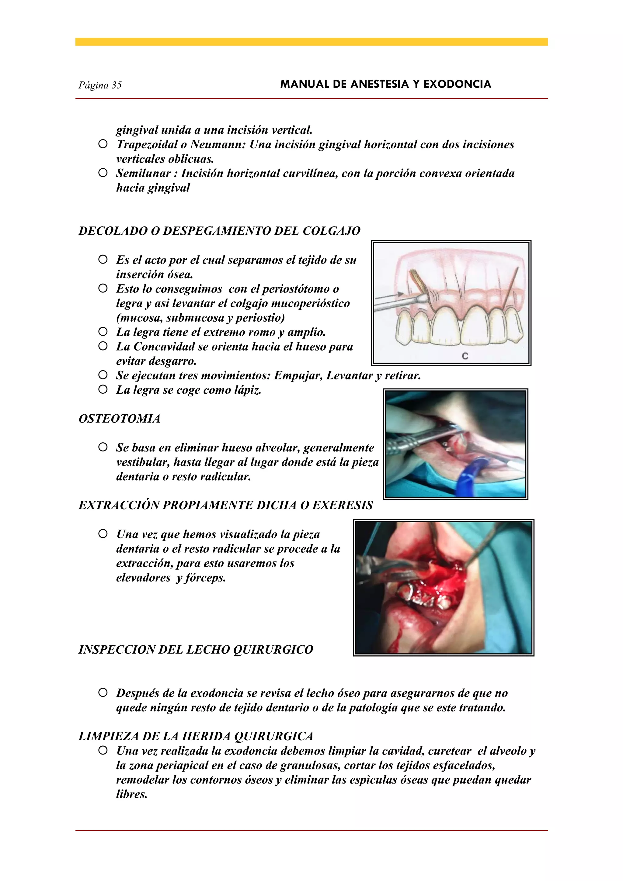 Manual De Anestesia Y Exodoncia | PDF