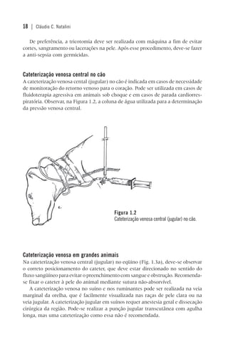 18 | Cláudio C. Natalini
De preferência, a tricotomia deve ser realizada com máquina a fim de evitar
cortes, sangramento ou lacerações na pele. Após esse procedimento, deve-se fazer
a anti-sepsia com germicidas.
Cateterização venosa central no cão
A cateterização venosa cental (jugular) no cão é indicada em casos de necessidade
de monitoração do retorno venoso para o coração. Pode ser utilizada em casos de
fluidoterapia agressiva em animais sob choque e em casos de parada cardiorres-
piratória. Observar, na Figura 1.2, a coluna de água utilizada para a determinação
da pressão venosa central.
Figura 1.2
Cateterização venosa central (jugular) no cão.
Cateterização venosa em grandes animais
Na cateterização venosa central (jugular) no eqüino (Fig. 1.3a), deve-se observar
o correto posicionamento do cateter, que deve estar direcionado no sentido do
fluxo sangüíneo para evitar o preenchimento com sangue e obstrução. Recomenda-
se fixar o cateter à pele do animal mediante sutura não-absorvível.
A cateterização venosa no suíno e nos ruminantes pode ser realizada na veia
marginal da orelha, que é facilmente visualizada nas raças de pele clara ou na
veia jugular. A cateterização jugular em suínos requer anestesia geral e dissecação
cirúrgica da região. Pode-se realizar a punção jugular transcutânea com agulha
longa, mas uma cateterização como essa não é recomendada.
 