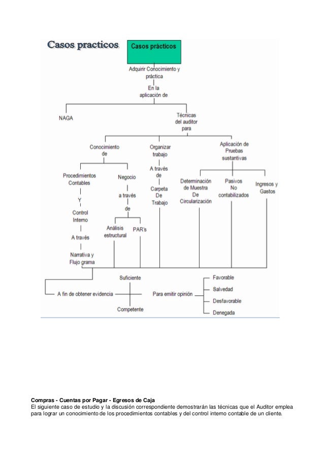 Manual de auditoría financiera