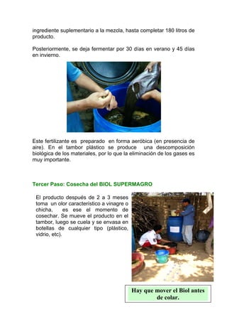 ingrediente suplementario a la mezcla, hasta completar 180 litros de
producto.

Posteriormente, se deja fermentar por 30 días en verano y 45 días
en invierno.




Este fertilizante es preparado en forma aeróbica (en presencia de
aire). En el tambor plástico se produce una descomposición
biológica de los materiales, por lo que la eliminación de los gases es
muy importante.



Tercer Paso: Cosecha del BIOL SUPERMAGRO

 El producto después de 2 a 3 meses
 toma un olor característico a vinagre o
 chicha,       es ese el momento de
 cosechar. Se mueve el producto en el
 tambor, luego se cuela y se envasa en
 botellas de cualquier tipo (plástico,
 vidrio, etc).




                                           Hay que mover el Biol antes
                                                   de colar.
 
