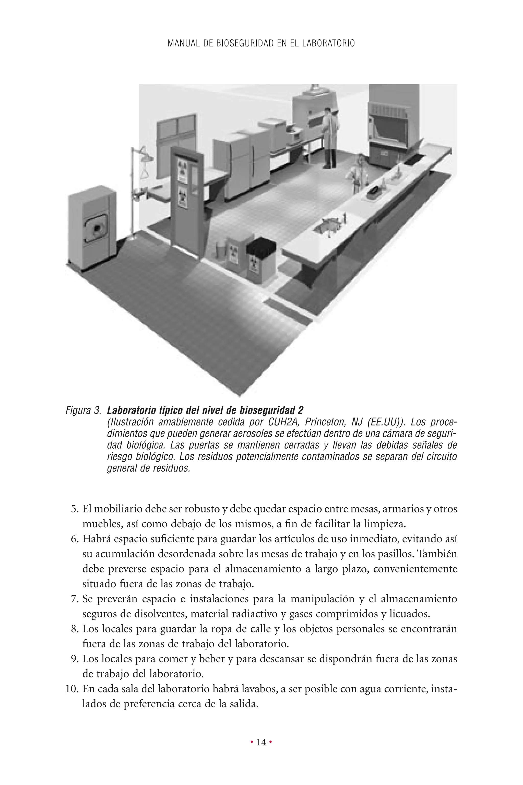 5. El mobiliario debe ser robusto y debe quedar espacio entre mesas, armarios y otros
muebles, así como debajo de los mismos, a ﬁn de facilitar la limpieza.
6. Habrá espacio suﬁciente para guardar los artículos de uso inmediato, evitando así
su acumulación desordenada sobre las mesas de trabajo y en los pasillos. También
debe preverse espacio para el almacenamiento a largo plazo, convenientemente
situado fuera de las zonas de trabajo.
7. Se preverán espacio e instalaciones para la manipulación y el almacenamiento
seguros de disolventes, material radiactivo y gases comprimidos y licuados.
8. Los locales para guardar la ropa de calle y los objetos personales se encontrarán
fuera de las zonas de trabajo del laboratorio.
9. Los locales para comer y beber y para descansar se dispondrán fuera de las zonas
de trabajo del laboratorio.
10. En cada sala del laboratorio habrá lavabos, a ser posible con agua corriente, insta-
lados de preferencia cerca de la salida.
MANUAL DE BIOSEGURIDAD EN EL LABORATORIO
• 14 •
Figura 3. Laboratorio típico del nivel de bioseguridad 2
(Ilustración amablemente cedida por CUH2A, Princeton, NJ (EE.UU)). Los proce-
dimientos que pueden generar aerosoles se efectúan dentro de una cámara de seguri-
dad biológica. Las puertas se mantienen cerradas y llevan las debidas señales de
riesgo biológico. Los residuos potencialmente contaminados se separan del circuito
general de residuos.
 