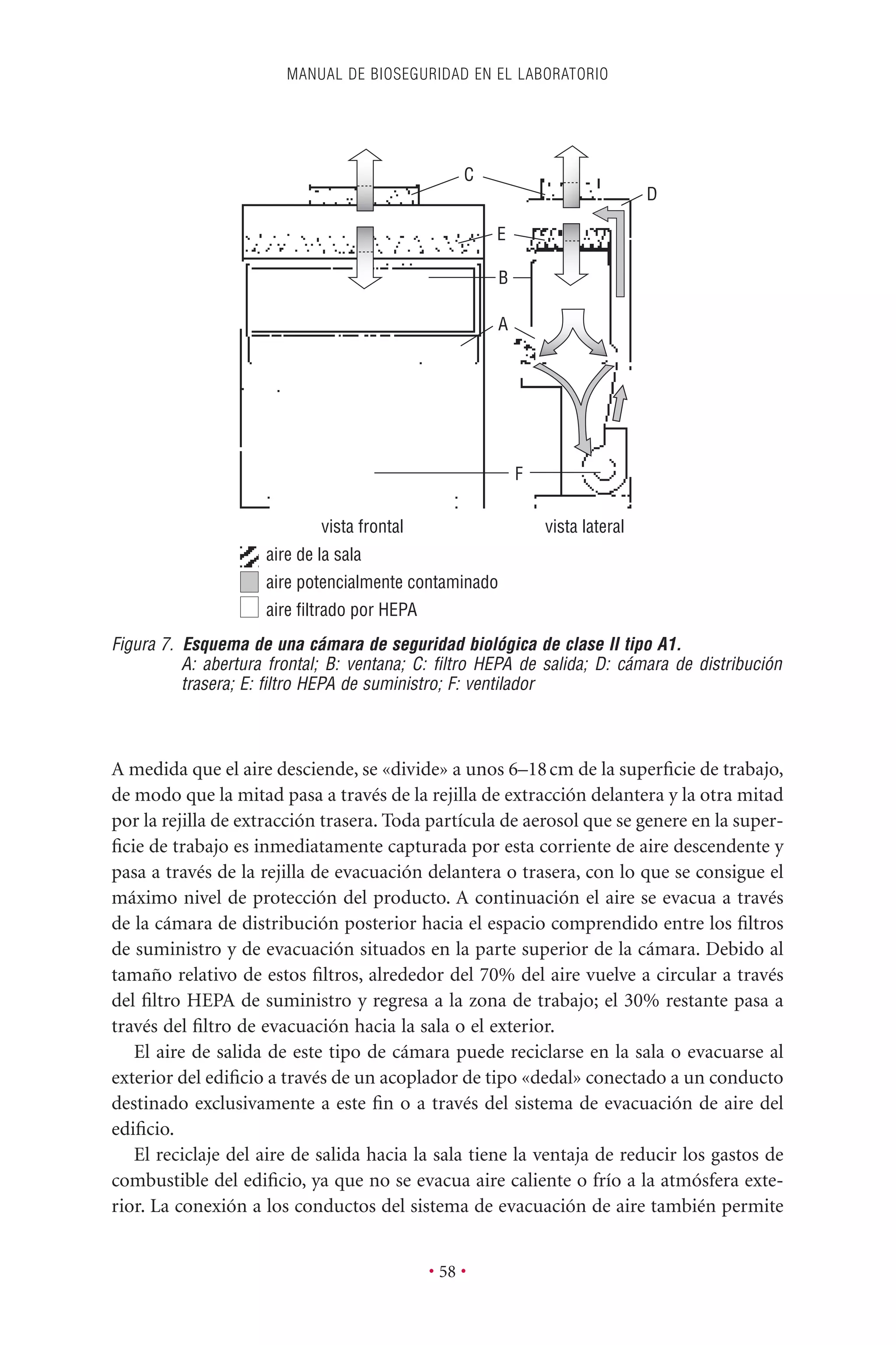 A medida que el aire desciende, se «divide» a unos 6–18cm de la superﬁcie de trabajo,
de modo que la mitad pasa a través de la rejilla de extracción delantera y la otra mitad
por la rejilla de extracción trasera. Toda partícula de aerosol que se genere en la super-
ﬁcie de trabajo es inmediatamente capturada por esta corriente de aire descendente y
pasa a través de la rejilla de evacuación delantera o trasera, con lo que se consigue el
máximo nivel de protección del producto. A continuación el aire se evacua a través
de la cámara de distribución posterior hacia el espacio comprendido entre los ﬁltros
de suministro y de evacuación situados en la parte superior de la cámara. Debido al
tamaño relativo de estos ﬁltros, alrededor del 70% del aire vuelve a circular a través
del ﬁltro HEPA de suministro y regresa a la zona de trabajo; el 30% restante pasa a
través del ﬁltro de evacuación hacia la sala o el exterior.
El aire de salida de este tipo de cámara puede reciclarse en la sala o evacuarse al
exterior del ediﬁcio a través de un acoplador de tipo «dedal» conectado a un conducto
destinado exclusivamente a este ﬁn o a través del sistema de evacuación de aire del
ediﬁcio.
El reciclaje del aire de salida hacia la sala tiene la ventaja de reducir los gastos de
combustible del ediﬁcio, ya que no se evacua aire caliente o frío a la atmósfera exte-
rior. La conexión a los conductos del sistema de evacuación de aire también permite
MANUAL DE BIOSEGURIDAD EN EL LABORATORIO
• 58 •
vista frontal vista lateral
aire de la sala
aire potencialmente contaminado
aire filtrado por HEPA
B
A
E
C
D
F
Figura 7. Esquema de una cámara de seguridad biológica de clase II tipo A1.
A: abertura frontal; B: ventana; C: ﬁltro HEPA de salida; D: cámara de distribución
trasera; E: ﬁltro HEPA de suministro; F: ventilador
 