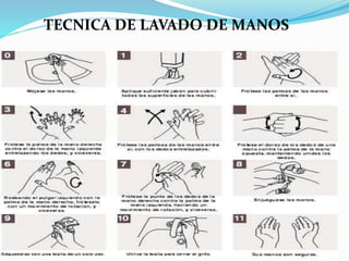 TECNICA DE LAVADO DE MANOS
 