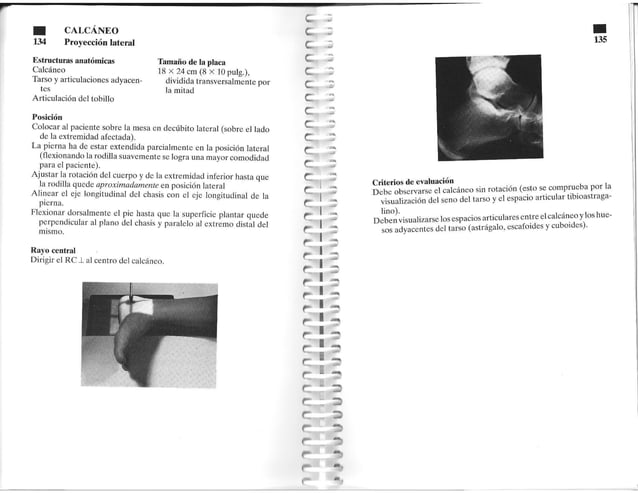Manual de Bolsillo de Posiciones Radiograficas.pdf