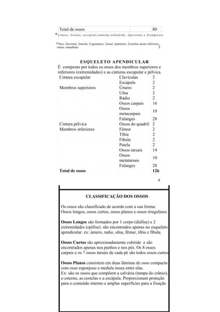 Total de ossos                                                                  80
* Crânio;   frontal, occipital,etmóide,esfenóide, 2parietais e 2temporais

**face; 2lacrimal, 2maxila, 2zigomatico, 2nasal, 2palatinos, 2conchas nasais inferiores,
 vômer, mandíbula.




              ESQUELETO APENDICULAR
 É composto por todos os ossos dos membros superiores e
 inferiores (extremidades) e as cinturas escapular e pélvica.
  Cintura escapular                 Clavículas          2
                                    Escápula            2
  Membros superiores                Úmero               2
                                    Ulna                2
                                    Rádio               2
                                    Ossos carpais       16
                                    Ossos
                                                        10
                                    metacarpais
                                    Falanges            28
  Cintura pélvica                   Ossos do quadril 2
  Membros inferiores                Fêmur               2
                                    Tíbia               2
                                    Fíbula              2
                                    Patela              2
                                    Ossos tarsais       14
                                    Ossos
                                                        10
                                    metatarsais
                                    Falanges            28
  Total de ossos                                        126




                         CLASSIFICAÇÃO DOS OSSOS

    Os ossos são classificado de acordo com a sua forma:
    Ossos longos, ossos curtos, ossos planos e ossos irregulares.

    Ossos Longos são formados por 1 corpo (diáfise) e 2
    extremidades (epífise). são encontrados apenas no esqueleto
    apendicular. ex: úmero, radio, ulna, fêmur, tíbia e fíbula.

    Ossos Curtos são aproximadamente cubóide e são
    encontrados apenas nos punhos e nos pés. Os 8 ossos
    carpais e os 7 ossos tarsais de cada pé são todos ossos curtos.

    Ossos Planos consistem em duas lâminas de osso compacto
    com osso esponjoso e medula óssea entre elas.
    Ex: são os ossos que compõem a calvária (tampa do crânio),
    o esterno, as costelas e a escápula. Proporcionam proteção
    para o conteúdo interno e amplas superfícies para a fixação
 