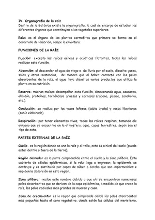 IV. Organografía de la raíz
Dentro de la Botánica existe la organografía, la cual se encarga de estudiar los
diferentes órganos que constituyen a los vegetales superiores.

Raíz: es el órgano de las plantas cormofitas que primero se forma en el
desarrollo del embrión, rompe la envoltura.

FUNCIONES DE LA RAÍZ

Fijación: excepto las raíces aéreas y acuáticas flotantes, todas las raíces
realizan esta función.

Absorción: al descender el agua de riego o de lluvia por el suelo, disuelve gases,
sales y otras sustancias, de manera que al haber contacto con los pelos
absorbentes de la raíz, el agua lleva disueltos varios productos que utiliza la
planta en su nutrición.

Reserva: muchas maíces desempeñan esta función, almacenando agua, azucares,
almidón, proteínas, tornándose gruesas y carnosas (rábano, jicama, zanahoria,
etc.).

Conducción: se realiza por los vasos leñosos (sabia bruta) y vasos liberianos
(sabía elaborada).

Respiración: por tener elementos vivos, todas las raíces respiran, tomando elc
oxigeno que se encuentra en la atmosfera, agua, capas terrestres, según sea el
tipo de esta.

PARTES EXTERNAS DE LA RAÍZ

Cuello: es la región donde se une la raíz y el tallo, esto es a nivel del suelo (puede
estar dentro o fuera de la tierra).

Región desnuda: es la parte comprendida entre el cuello y la zona pilífera. Esta
cubierta de células epidérmicas, si la raíz llega a engrosar, la epidermis se
destruye y es sustituida por capas de súber o corcho que son impermeables e
impiden la absorción en esta región.

Zona pilífera: recibe este nombre debido a que ahí se encuentran numerosos
pelos absorbentes que se derivan de la capa epidérmica, a medida de que crece la
raíz, los pelos radicales mas grandes se mueren y caen.

Zona de crecimiento: es la región que comprende desde los pelos absorbentes
más pequeños hasta el cono vegetativo, donde están las células del meristemo,
 