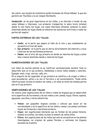del viento, sus tejidos de resistencia están formados de fibras leñosas lo que les
permite ser flexibles y no se rompen fácilmente.

Conducción: es de gran importancia en los tallos, y se efectúa a través de sus
vasos leñosos y liberianos. Los primeros transportan la sabia bruta (xilema)
desde la raíz hasta las hojas. Los vasos liberianos (floema) conducen la sabia
elaborada desde las hojas donde se elaboran las sustancias nutritivas a todas las
partes del vegetal.

PARTES EXTERNAS DE LOS TALLOS

   •   Cuello: es la parte que separa al tallo de la raíz y que comúnmente se
       encuentra al nivel del suelo.
   •   Eje primario: es la parte que se deriva directamente del embrión y crece
       a merced de los meristemos primarios.
   •   Nudos: son el sitio del eje primario en donde se insertan las hojas y estan
       mas o menos abultados donde e insertan las hojas

RAMIFICACIONES DE LOS TALLOS

Los tallos de muchas plantas no se ramifican, permaneciendo durante todo su
desarrollo solo en el eje primario, llamándose a estos tallos simples o sencillos.
Ejemplo: maíz, trigo, carrizo, caña, etc.
En la mayoría de los vegetales, el eje primario se ramifica y da origen a tallos o
ejes secundarios, estos a su vez al terciario y así sucesivamente. Todas estas
ramificaciones reciben el nombre de ramas, y en ellas se notan las mismas partes
que en el eje primario.

VEGETACIONES DE LOS TALLOS
Se conoce como vegetaciones del os tallos a todos los órganos que se desarrollan
en la superficie de los mismos y de sus ramas y son: yemas, hojas, flores, espinas,
aguijones, zarcillos y raíces adventicias.

   •   Yemas: son pequeños órganos ovoides o cónicos que nacen en las
       extremidades o en la superficie de los tallos y ramas. Las yemas contienen
       tejido de formación o meristemo primario.
   •   Hojas: son vegetaciones laminares que se forman de las yemas foliares.
       Cuando no existen, los tallos reciben el nombre de tallos afilos.
   •   Flores: son vegetaciones de los tallos que solo se encuentran en las plantas
       fanerógamas, se originan de yemas florales y contienen los órganos
       sexuales de la planta.
 