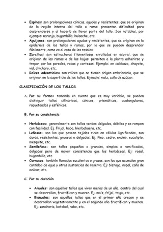 •   Espinas: son prolongaciones cónicas, agudas y resistentes, que se originan
      de la región interna del tallo o rama; presentan dificultad para
      desprenderse y al hacerlo se llevan parte del tallo. Son notables, por
      ejemplo: naranjo, bugambilia, huisache, etc.
  •   Aguijones: son prolongaciones agudas y resistentes, que se originan en la
      epidermis de los tallos y ramas, por lo que se pueden desprender
      fácilmente, como es el caso de los rosales.
  •   Zarcillos: son estructuras filamentosas enrolladas en espiral, que se
      originan de las ramas o de las hojas: permiten a la planta adherirse y
      trepar por las paredes, rocas y cortezas. Ejemplo: en calabaza, chayote,
      vid, chicharo, etc.
  •   Raíces adventicias: son raíces que no tienen origen embrionario, que se
      originan en la superficie de los tallos. Ejemplo: maíz, caña de azúcar.

CLASIFICACIÓN DE LOS TALLOS

  A. Por su forma: tomando en cuenta que es muy variable, se pueden
     distinguir tallos cilíndricos, cónicos, prismáticos, acutangulares,
     raqueteados y esféricos.

  B. Por su consistencia

  •   Herbáceos: generalmente son tallos verdes delgados, débiles y se rompen
      con facilidad. Ej. Frijol, haba, hierbabuena, etc.
  •   Leñosos: son los que poseen tejidos ricos en células lignificadas, son
      duros, resistentes, gruesos o delgados. Ej. Pino, cedro, encino, eucalipto,
      mesquite, etc.
  •   Semileñoso: son tallos pequeños o grandes, simples o ramificados,
      delgados pero de mayor consistencia que los herbáceos. Ej: rosal,
      bugambilia, etc.
  •   Carnosos: también llamados suculentos o grasos, son los que acumulan gran
      cantidad de agua y otras sustancias de reserva. Ej: biznaga, nopal, caña de
      azúcar, etc.

  C. Por su duración

      •   Anuales: son aquellos tallos que viven menos de un año, dentro del cual
          se desarrollan, fructifican y mueren. Ej: maíz, fríjol, trigo, etc.
      •   Bianuales: son aquellos tallos que en el primer año crecen y se
          desarrollan vegetativamente y en el segundo año fructifican y mueren.
          Ej: zanahoria, betabel, nabo, etc.
 
