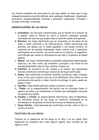 Los foliolos presentan las variaciones de una hoja simple, en tanto que la hoja
compuesta presenta un patrón definido como: palmeada, bipalmeada, tripalmeada,
pinatisecta, pinnada-palmeada, bifoliada o geminada, trigeminada, trifoliada o
ternada, biternada, triternada.

MODIFICACIONES DE LAS HOJAS

   A. Cotiledones: son las hojas transformadas, que se forman en el interior de
      la semilla, tienen la función de cubrir al embrión, almacenar grandes
      cantidades de reservas que proporcionan al embrión cuando este germina.
   B. Brácteas: son hojas modificadas que se encuentran en las bases de los
      tallos y están cubriendo a las inflorescencias. Tienen estructuras mas
      sencillas, son sésiles, por lo común pequeñas y con escasa clorofila; en
      ocasiones son de grandes dimensiones toman colores vivos y llamativos,
      sustituyendo en su función ala corola como en el alcatraz, la bugambilia.
      Las brácteas que cubren la inflorescencia del maíz y la palmera se llaman
      espatas.
   C. Glumas: son hojas transformadas en pequeñas expansiones membranosas,
      elípticas y de color verde, que envuelven y protegen a las flores de las
      poaceas (gramíneas) como el trigo, centeno, cebada, etc.
   D. Catafilas: se encuentra en los rizomas y en bulbos, son expansiones
      foliares carentes de clorofila que resultan de las hojas modificadas.
   E. Espina: hoja modificada de plantas xerófilas (cactáceas, nopal, biznaga),
      no se cortan, pero la punta o pico se corta fácilmente. Este ultimo, es una
      excrescencia del pecíolo y tienen función de proteger la yema, puede ser
      leñosa o foliar.
   F. Zarcillos: hojas modificadas que ayudan a la planta a trepar.
   G. Filodio: es un ensanchamiento del pecíolo que en ocasiones toman el
      aspecto de limbo y se transforman en filodios que desempeñan funciones
      de asimilación y sostén.
   H. Ascidias y utrículo: en algunas plantas insectívoras, como el Nepenthes,
      las diferentes partes de sus hojas se modifican formándose en su
      extremidad un receptáculo en forma de urna que se denomina ascidia.
   I. Piezas florales: todas las piezas que constituyen una flor, como el caliz, la
      corola y el pistilo.

   FILOTAXIA DE LAS HOJAS

   Filotaxia es la disposición de las hojas en el tallo o en las ramas. Esta
   disposición es constante para cada especie vegetal, pero variable de una
   especie a otra.
 