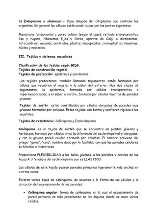 b) Endoplasma o plasmasol.- Capa delgada del citoplasma que contiene los
organélos. En general las células están constituidas por las partes siguientes:

Membrana fundamental o pared celular (según el caso), retículo endoplasmático
liso y rugoso, ribosomas fijos y libres, aparato de Golgi o dictiosomas,
mitocondrias, vacuolas, centriolos, plastos, leucoplastos, cromoplastos, lisosomas,
núcleo y nucleolos.

III. Tejidos y sistemas vasculares

Clasificación de los tejidos según GILG.
Tejidos de construcción vegetal
Tejidos de protección: epidermis y peridermis

Los tejidos protectores, también llamados tegumentos, están formados por
células que recubren el vegetal y lo aíslan del exterior. Hay dos clases de
tegumentos:    la   epidermis,    formada   por    células   transparentes   e
impermeabilizadas, y el súber o corcho, formado por células muertas de paredes
gruesas.

Tejidos de sostén: están constituidos por células alargadas de paredes muy
gruesas formadas por celulosa. Estos tejidos dan forma y confieren rigidez a los
vegetales.

Tejidos de resistencia: Colènquima y Esclerènquima

Colénquima es un tejido de sostén que se encuentra en plantas jóvenes y
herbáceas formado por células vivas (a diferencia del esclerénquima) y alargadas,
y con la gruesa pared celular formada por celulosa. El nombre proviene del
griego: "goma", "cola", nombre dado por la facilidad con que las paredes celulares
se hinchan al hidratarse

Proporciona FLEXIBILIDAD a los tallos jóvenes, a los pecíolos y nervios de las
hojas.A diferencia del esclerenquima que es ELASTICO.

Las células de este tejido poseen paredes primarias ligeramente más anchas en
ciertas zonas.

Existen varios tipos de colénquima, de acuerdo a la forma de las células y la
ubicación del engrosamiento de las paredes:

   •   Colénquima angular: forma de colénquima en la cual el espesamiento de
       pared primaria es más prominente en los ángulos donde se unen varias
       células.
 