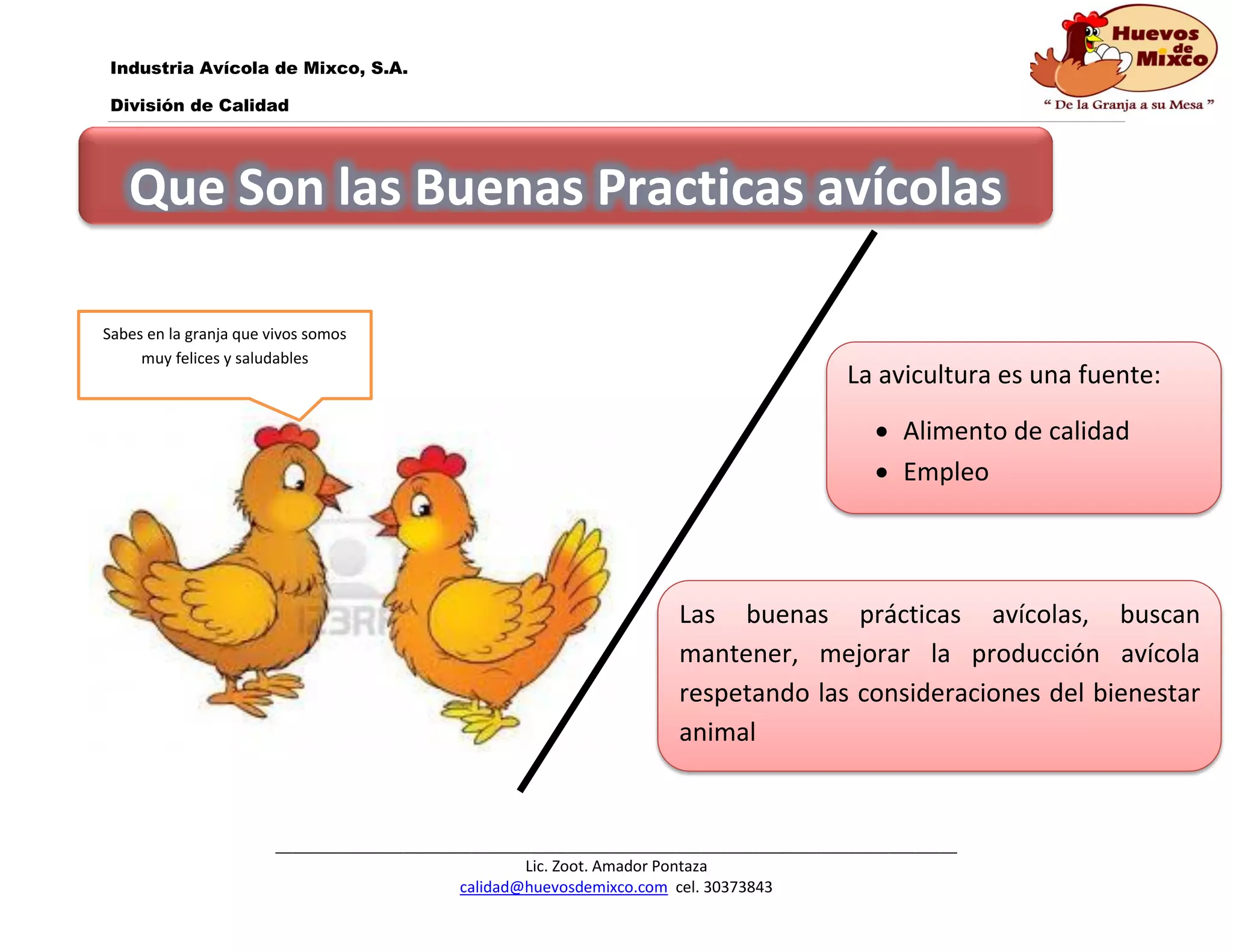 Manual de buenas practicas avicolas | PDF