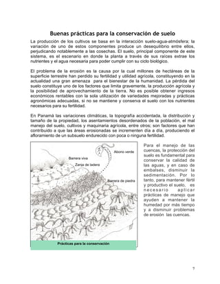 Manual de buenas practicas para el manejo de ch | PDF