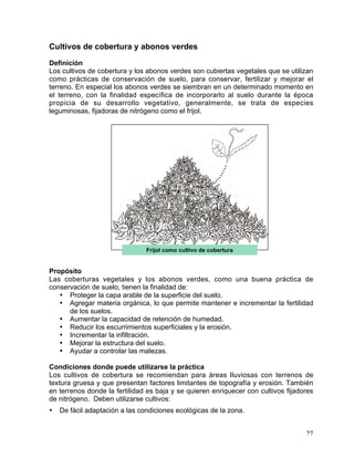 Manual de buenas practicas para el manejo de ch | PDF