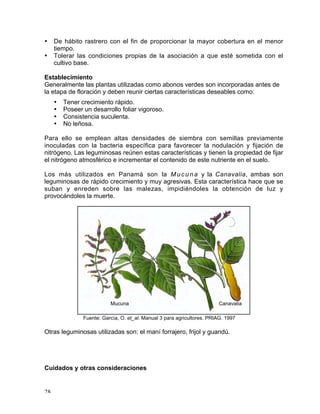 Manual de buenas practicas para el manejo de ch | PDF