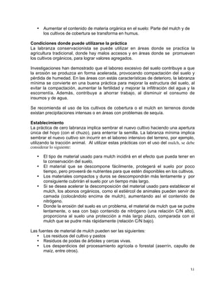 Manual de buenas practicas para el manejo de ch | PDF